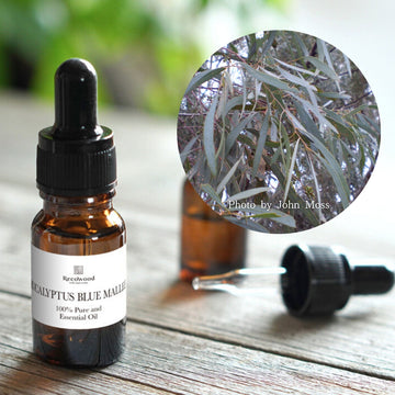 ユーカリブルーマリー|ケミカルフリー|100%天然精油
