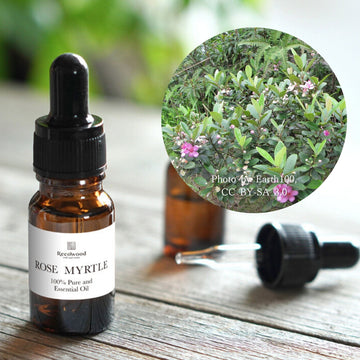 ローズマートル|希少|100%天然精油