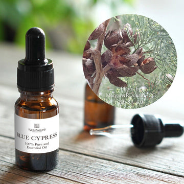 ブルーサイプレス|希少|ケミカルフリー|100%天然精油