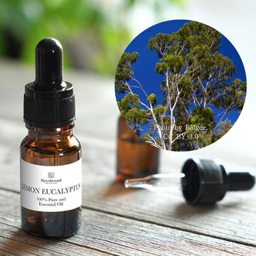 レモンユーカリ|ケミカルフリー|100%天然精油