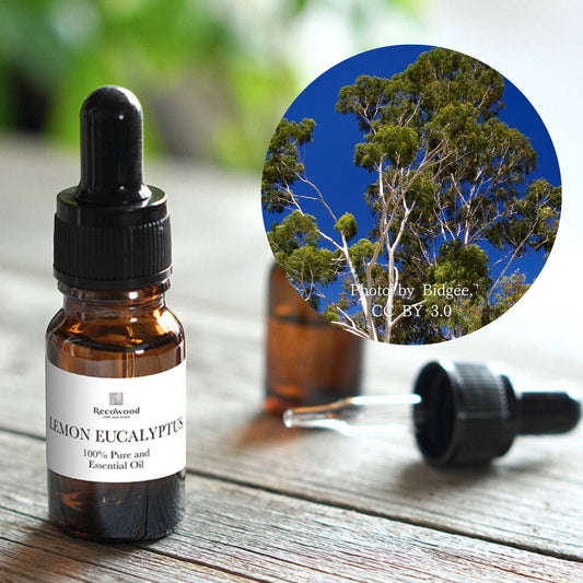 レモンユーカリ|ケミカルフリー|100%天然精油
