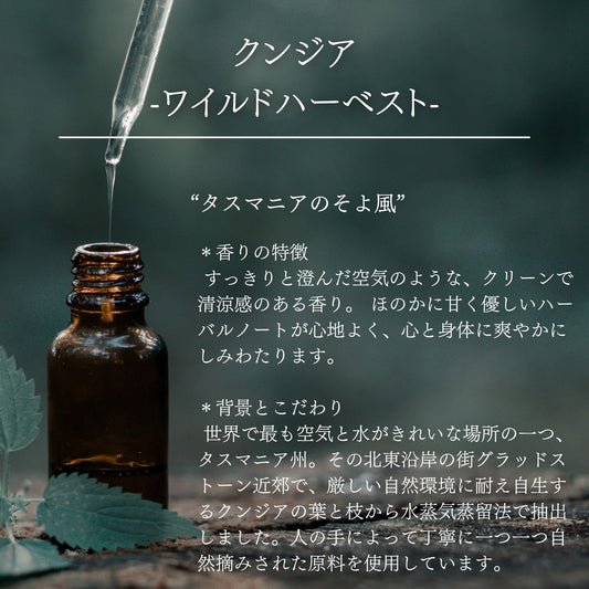クンジア｜ワイルドハーベスト｜100%天然精油