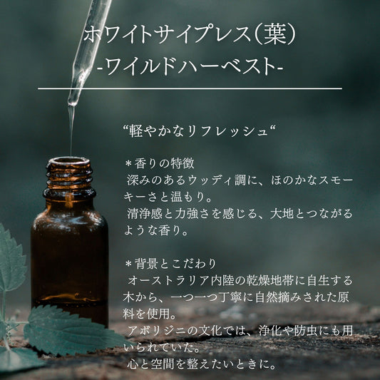 ホワイトサイプレス(Leaf)｜ワイルドハーベスト｜100%天然精油