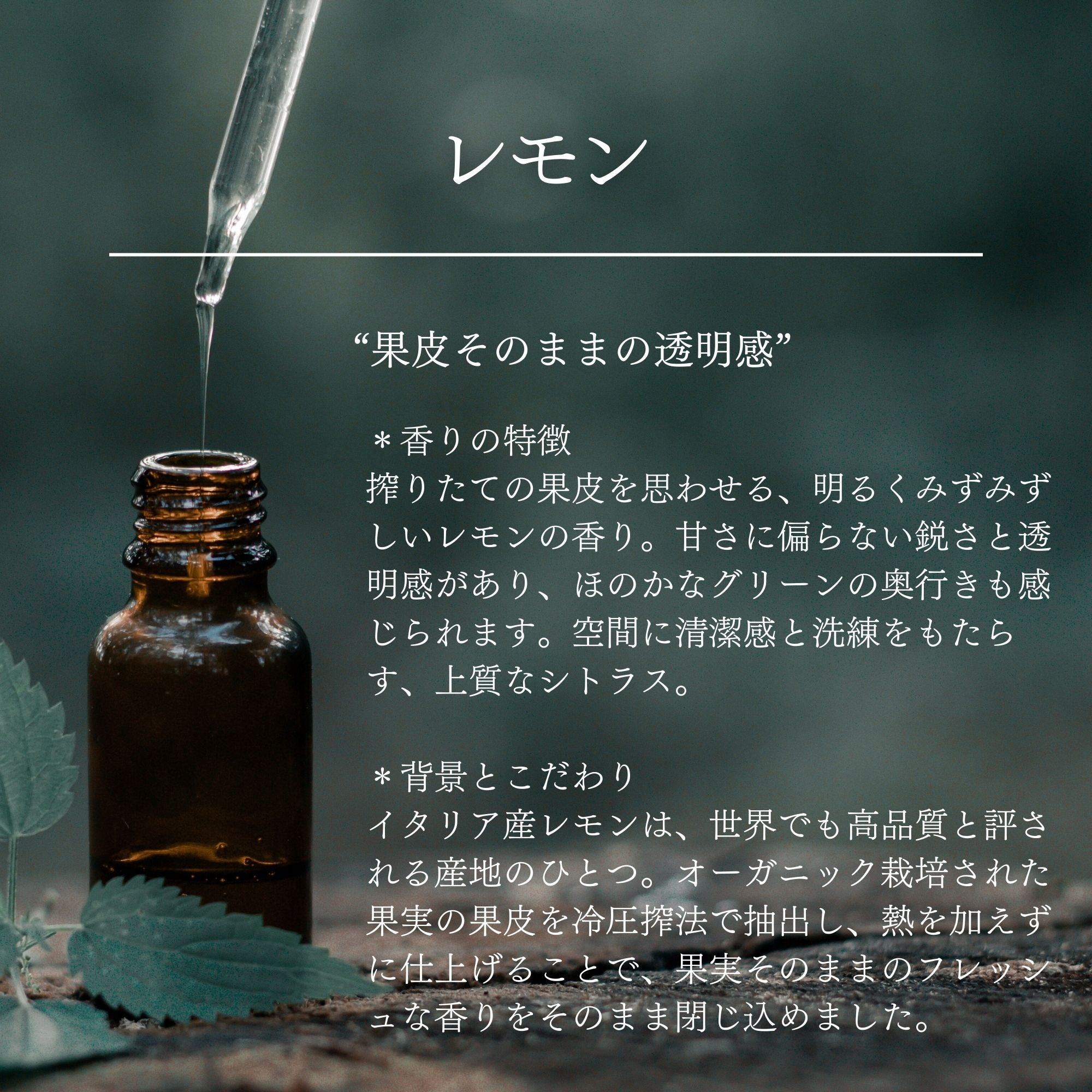 お試し精油1ml】天然アロマオイル サンプル｜100%ピュア